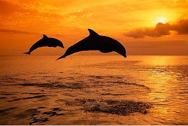 公布五年后 开发商确定《与狼同行2》仍在制作中