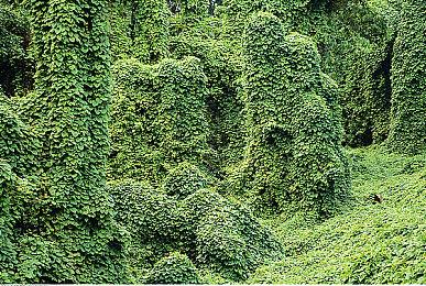 《荒野大镖客2》“视觉救赎计划”MOD新版本上线